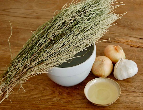 Aus dem Ackerschachtelhalm lässt sich eine Brühe herstellen, die gegen allerlei Pflanzenkrankheiten hilft. Das Rezept finden Sie in der Sommerausgabe der "Zeit im Garten".